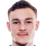 达姆尼亚诺维奇·尼尔森